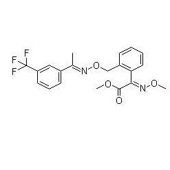 专利名称
