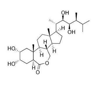 专利名称