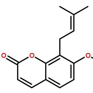 专利名称