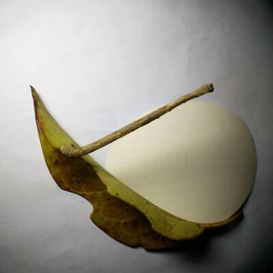 专利名称