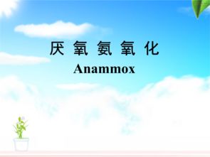 专利名称