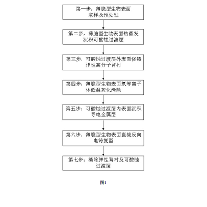 专利名称