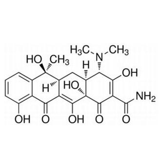 专利名称