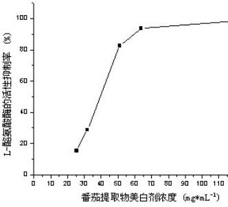 专利名称