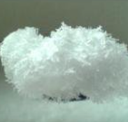 专利名称
