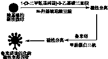 专利名称