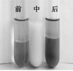 专利名称