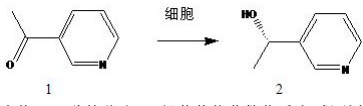 专利名称