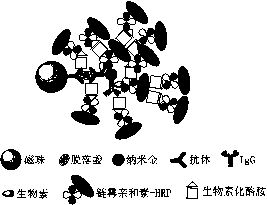 专利名称