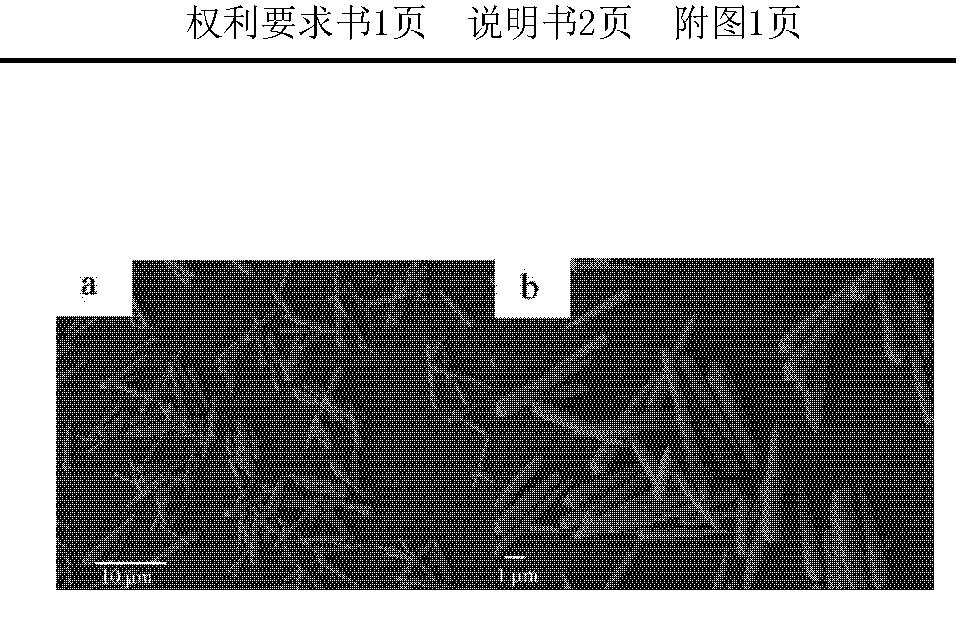 专利名称