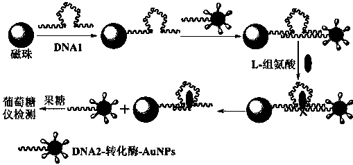 专利名称