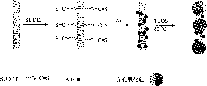 专利名称