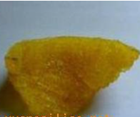 专利名称