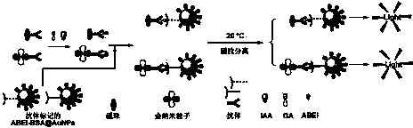 专利名称
