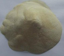 专利名称